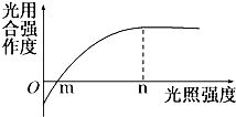 如圖為光合作用與光照強度之間關系的曲線,光照強度在n點時,限制光合作用強度進一步升高的主要因素是