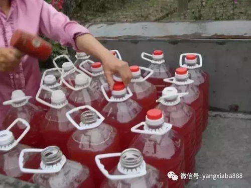 光合細(xì)菌在水產(chǎn)養(yǎng)殖上的妙用,您都知道