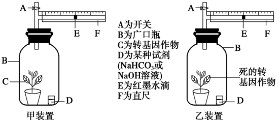 探究環境因素對光合作用強度的影響實驗設計,巧用一個裝置完成光合作用和呼吸作用相關實驗