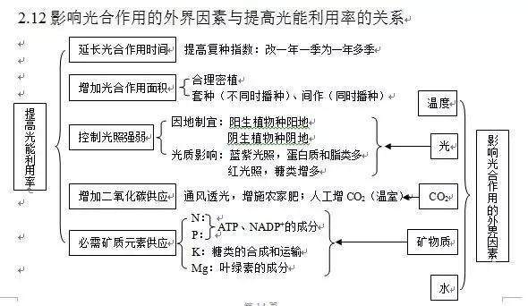 詳解光合作用，輕松掌握高中生物知識(shí)點(diǎn)