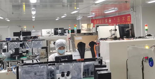 攜手并進(jìn)，共譜華章——瑞谷光網(wǎng)與華為合作的質(zhì)量績(jī)效與體系建設(shè)雙豐收