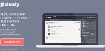 2013年11月 為網站設計與開發人員精選的實用工具